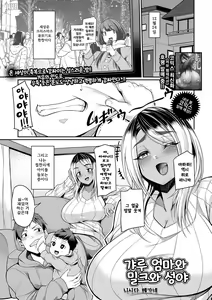 Gal Mama to Milk to Seiya | 갸루 엄마와 밀크와 성야 — hentai manga cover on Fhentai