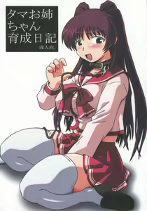 Tama Onee-chan Ikusei Nikki — hentai manga cover on Fhentai