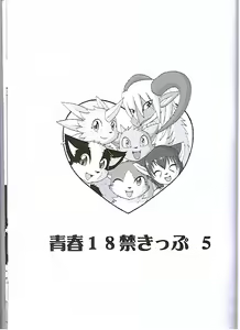 Page 2 of Seishun 18kin Kippu 5 - preview thumbnail