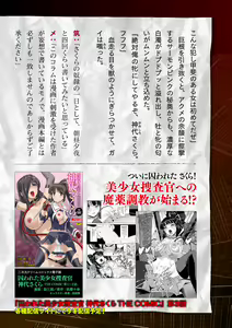 Page 752 of 2D Dream Magazine Vol. 117 - preview thumbnail