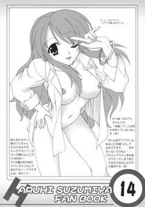 Page 14 of Suzumiya Haruhi no Shunsatsu - preview thumbnail