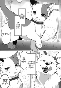 Page 3 of Sukimono Doushi - preview thumbnail