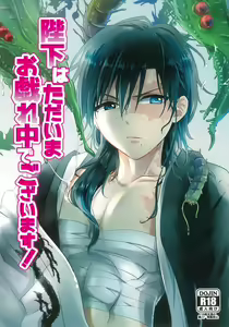 Heika wa Tadaima o Tawamure chuu de Gozaimasu! - hentai manga cover image