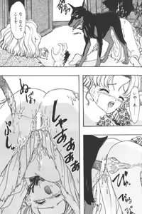 Page 137 of D.O.G - preview thumbnail