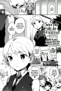 Himegoto Prince | El Secreto de la Princesa — hentai manga cover on Fhentai
