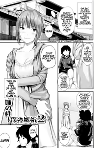 Ane no Sei! Boku no Shitto 2. | My Sister's Sex! My Jealousy 2. — hentai manga cover on Fhentai