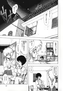 Page 40 of FLYING APPLE - preview thumbnail