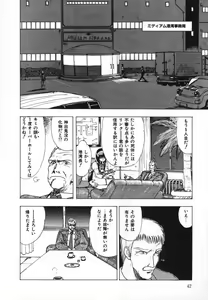 Page 45 of FLYING APPLE - preview thumbnail