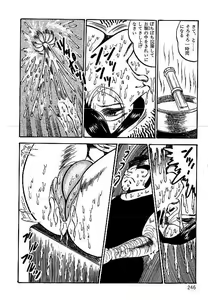 Page 243 of Yami no Ingyakushi - preview thumbnail