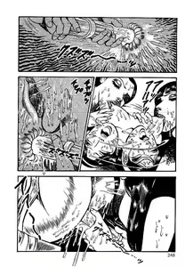 Page 245 of Yami no Ingyakushi - preview thumbnail