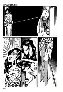 Page 292 of Yami no Ingyakushi - preview thumbnail