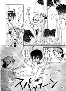Page 33 of Negina. - preview thumbnail