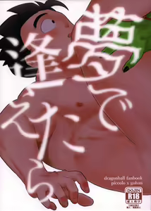 Yume de Aetara - hentai manga cover image
