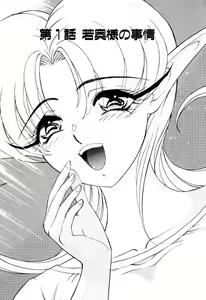 Page 23 of Elf no Wakaokusama DELUXE - preview thumbnail