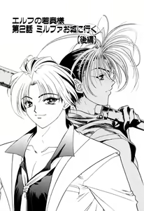 Page 399 of Elf no Wakaokusama DELUXE - preview thumbnail