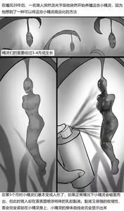 Page 3 of 《茧中精灵》《The elf in the cocoon》 Chinese - preview thumbnail