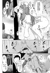 Page 11 of Patchouli Knowledge Kaihatsu Kiroku II - preview thumbnail