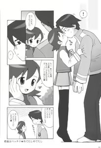 Page 21 of Maintenance - preview thumbnail