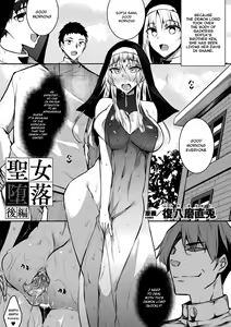 Page 17 of Seijo Daraku - preview thumbnail