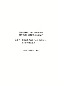 Page 3 of NISE Zelda no Densetsu Shinshou - preview thumbnail