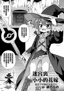 Meikyuu no Chiisana Hanayome - Little Bride in the Labyrinth  | 迷宮裏的小小花嫁 — hentai manga cover on Fhentai