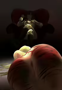 Page 28 of CG - preview thumbnail