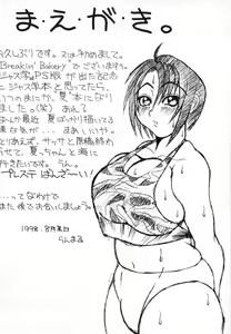 Page 3 of SEXY STREAM LINER - preview thumbnail