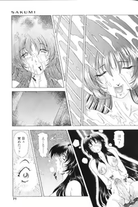 Page 69 of SsR - preview thumbnail