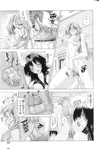 Page 85 of SsR - preview thumbnail