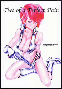 Two of a Perfect Pair — hentai manga cover on Fhentai