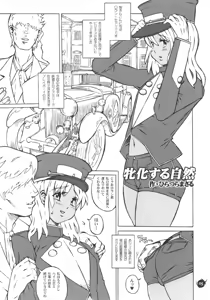 Page 4 of RC2006 - preview thumbnail