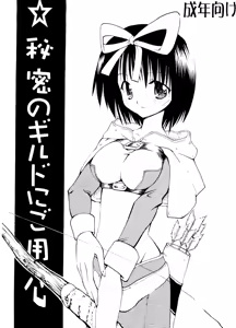 Himitsu no Guild ni Goyoujin vol.1 — hentai manga cover on Fhentai