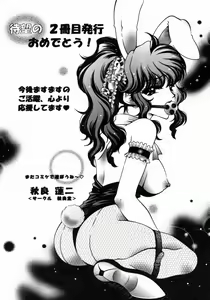 Page 167 of Dorei Ana | The Slave as Flesh Hole - preview thumbnail