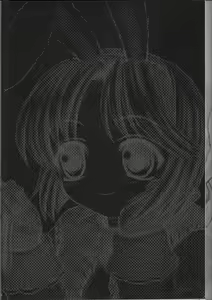 Page 3 of PRIMULA Rosea - preview thumbnail