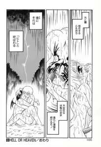 Page 168 of W.E.T - preview thumbnail
