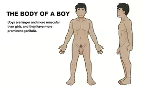 Page 3 of Our Bodies (How Children Are Made) -2nd Edition - preview thumbnail