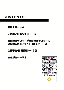 Page 3 of Kinpatsu Bakunyuu Yankee ga Ginpatsu Bakunyuu Yankee ni Ijimerarekko o NTR reru? Hon - preview thumbnail