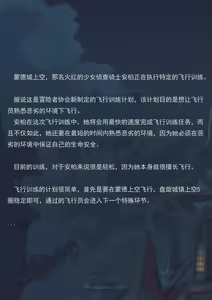 Page 38 of 飞行的训练（小文章） - preview thumbnail
