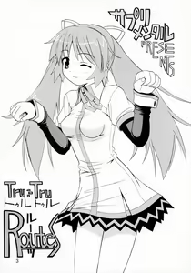 Page 3 of Tru-Tru Routes! - preview thumbnail