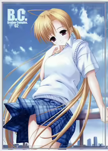 B.C. Brother Complex 02 - hentai manga cover image