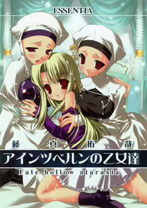 Einzbern no Otometachi — hentai manga cover on Fhentai