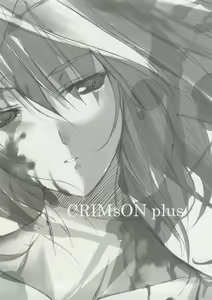 Page 2 of CRIMsON plus - preview thumbnail