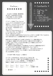 Page 3 of The Secret Lines - preview thumbnail