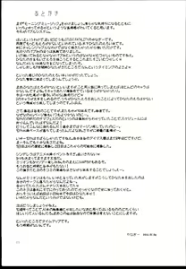 Page 21 of Baburu System - preview thumbnail