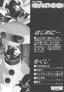 Page 3 of CAPCO - preview thumbnail