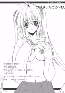 Page 3 of EXtra stage EXTEND 01 - preview thumbnail