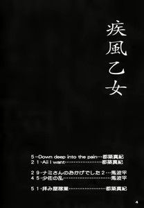 Page 3 of Shippuu Otome - preview thumbnail