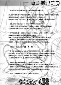 Page 3 of Neko Puni! vol.12 - preview thumbnail
