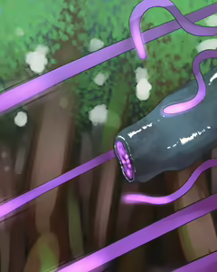 Page 8 of Komon no-ka - preview thumbnail