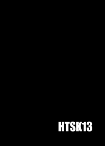 Page 3 of HTSK13 - preview thumbnail